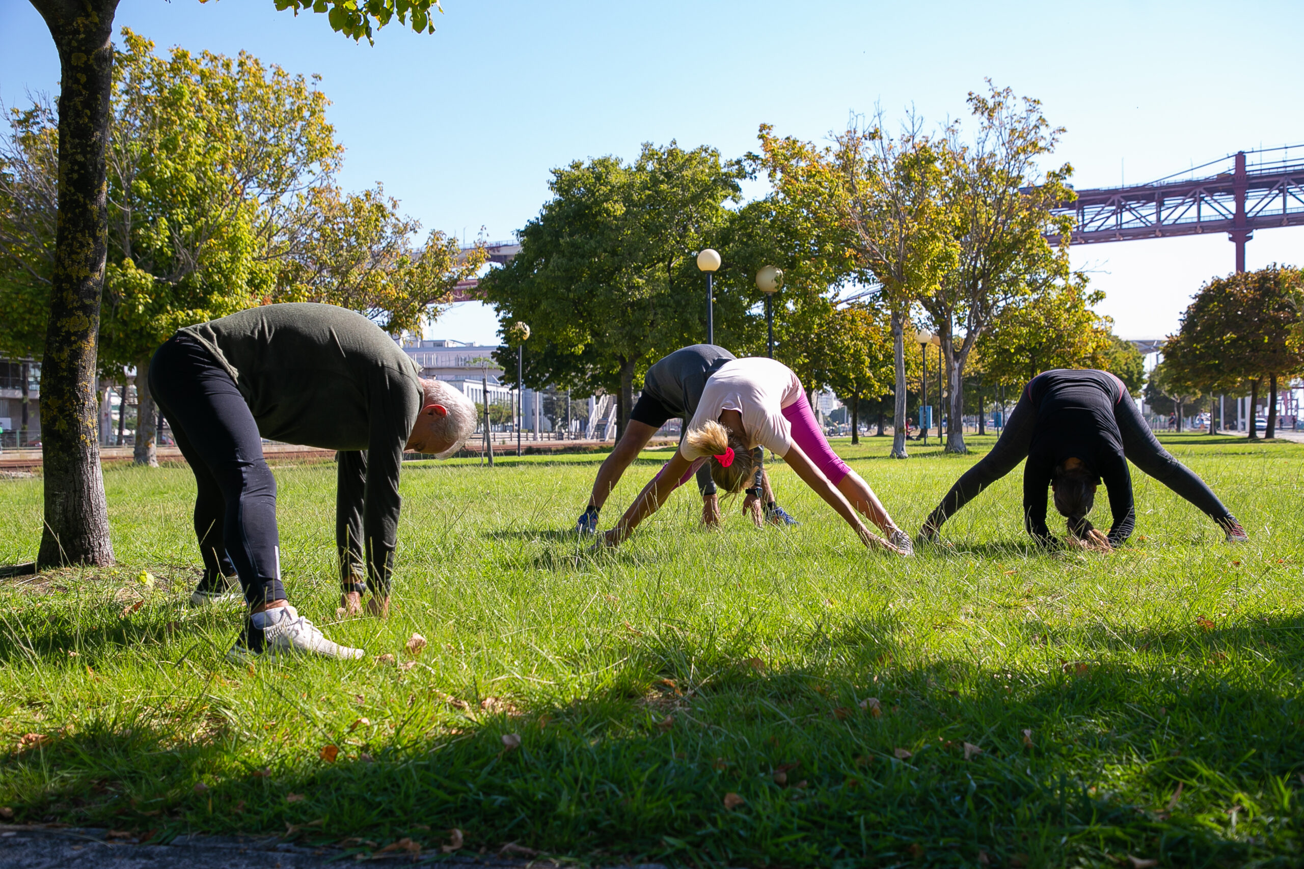 Retired active mature people wearing sports clothes Personnes âgés dans un parc s'étirant